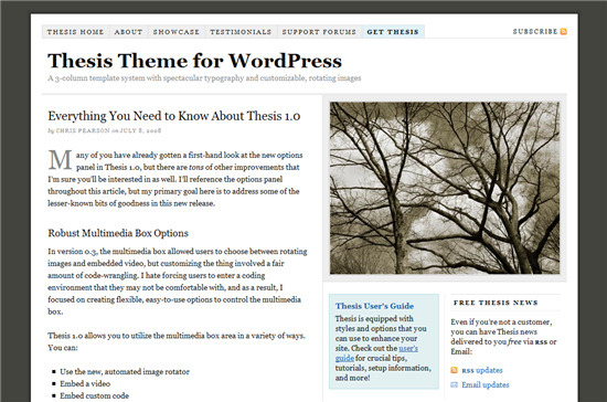 Wordpress thesis theme demo
